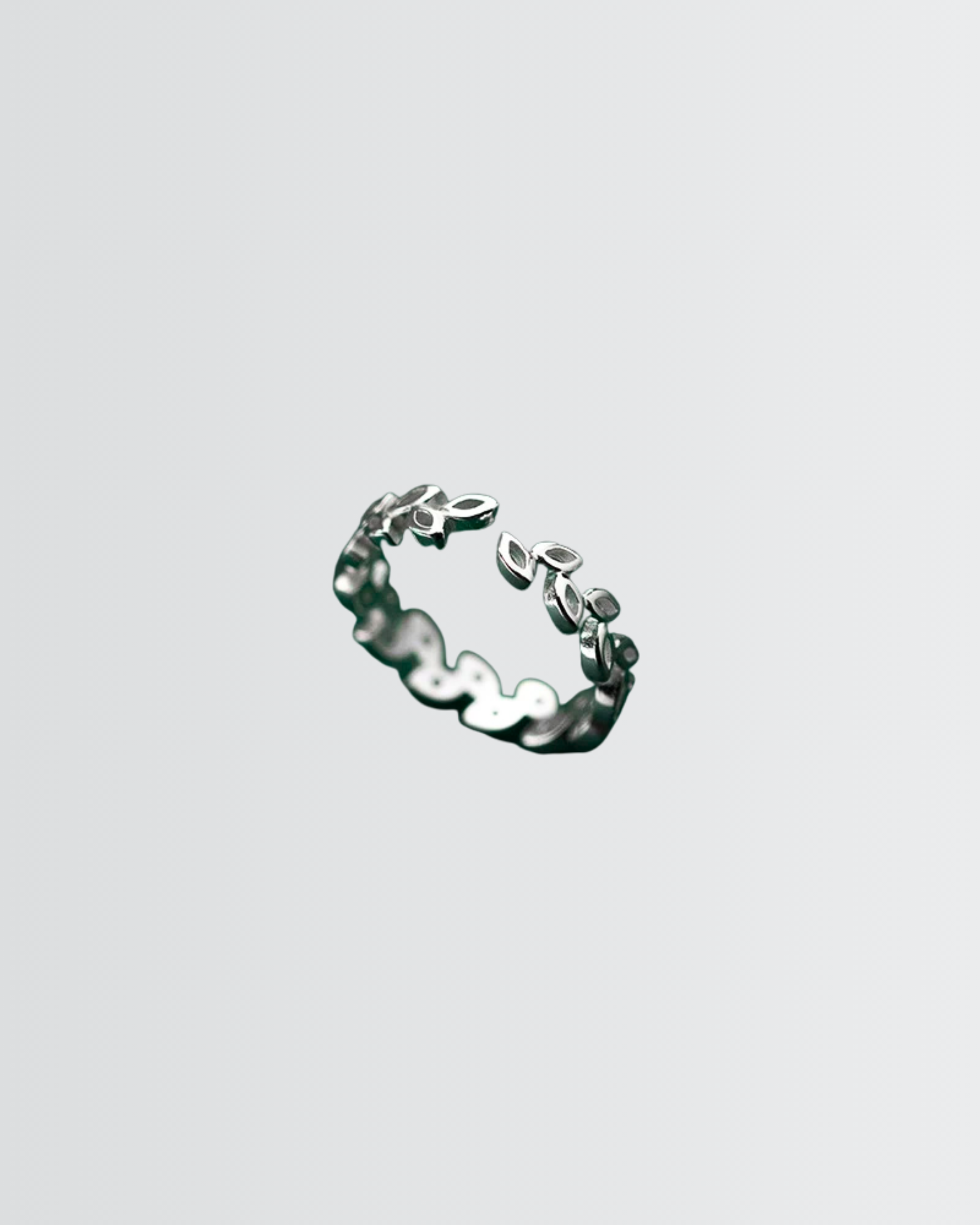 Minimal Leaves Ring