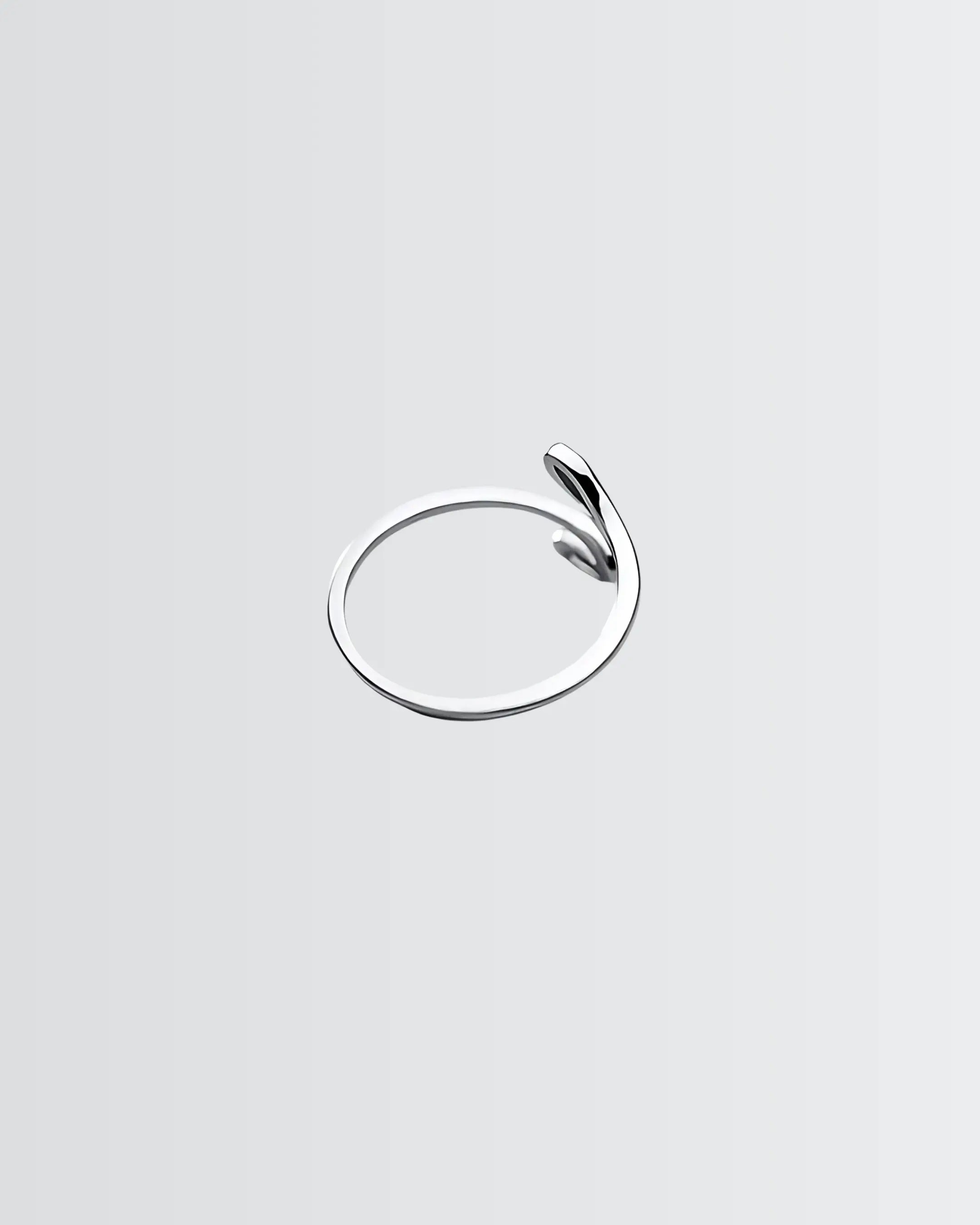 Satiny Slytherin Ring - Silver Ring by BLINGLANE